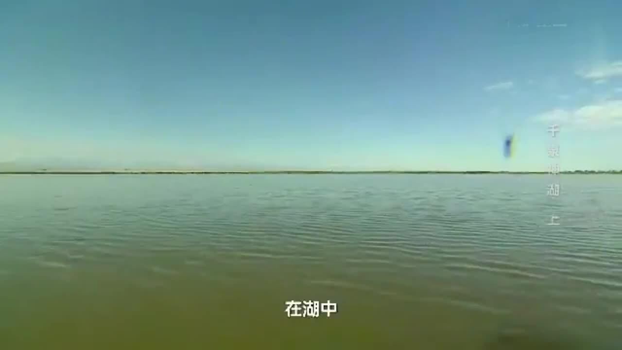 探索:新疆沙漠中突然冒出三千個泉眼,形成萬畝湖面,到處是大魚