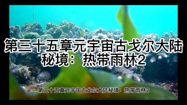 第三十五章元宇宙古戈尔大陆秘境:热带雨林2