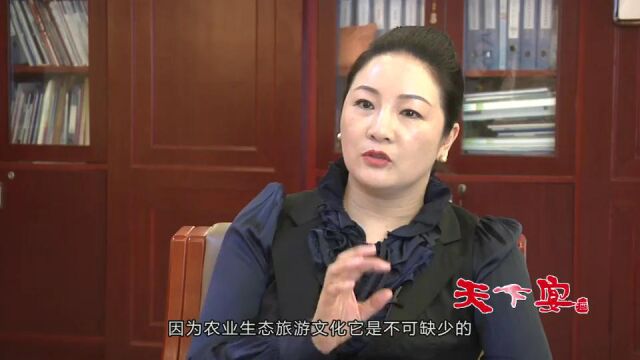 安徽合肥热线企业家访谈面对面.访谈林小东