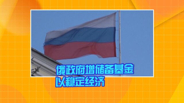 俄政府增加储备基金以稳定经济