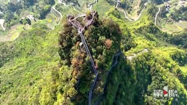 今日早报|报名啦!上半年重庆市属事业单位公开招聘939人 这个岗位要招490人