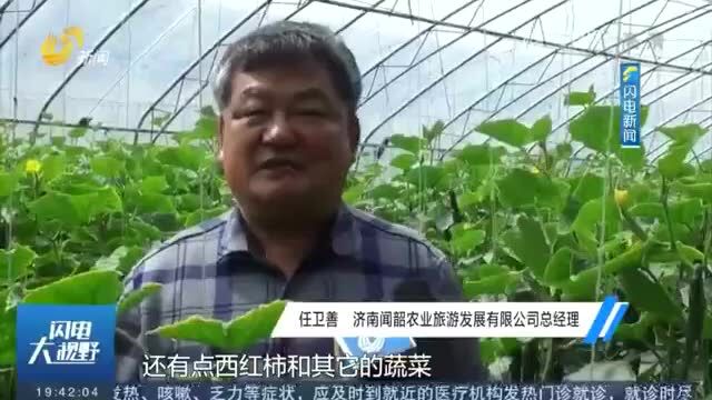 山东电视台新闻频道点赞济阳区“菜篮子”供应有保障