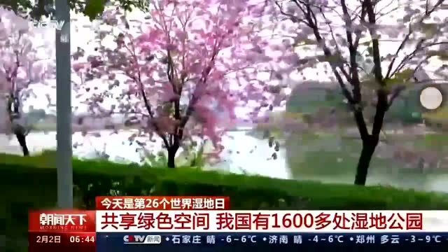 除了海珠湿地公园以外,广州还有这10多个“隐藏版”湿地公园!基本都是免费的,别再说周末节假日没地儿玩啦,找时间安排上~