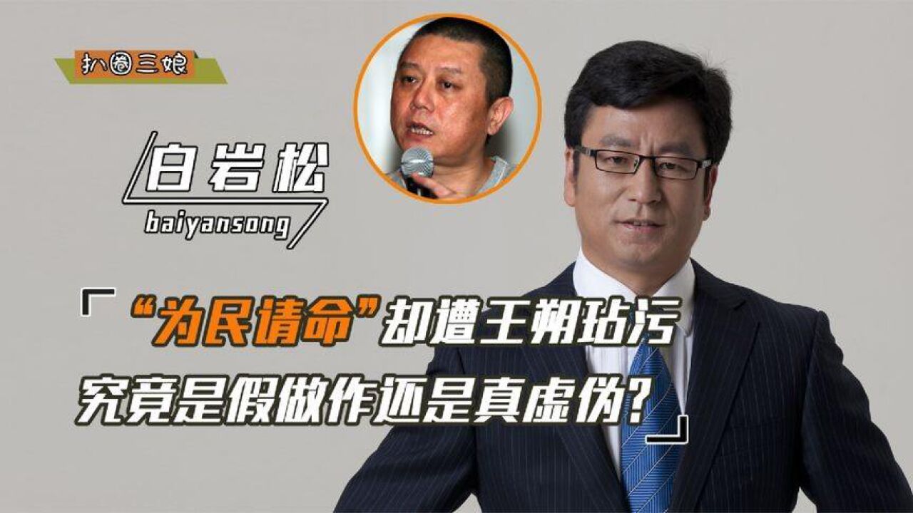 白岩松:敢指着台长鼻子骂,被怼却不敢还口,王朔究竟说了什么?