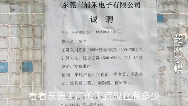 广东东莞:真实实拍打工者找工作实况,底薪1800,头也不回地走了