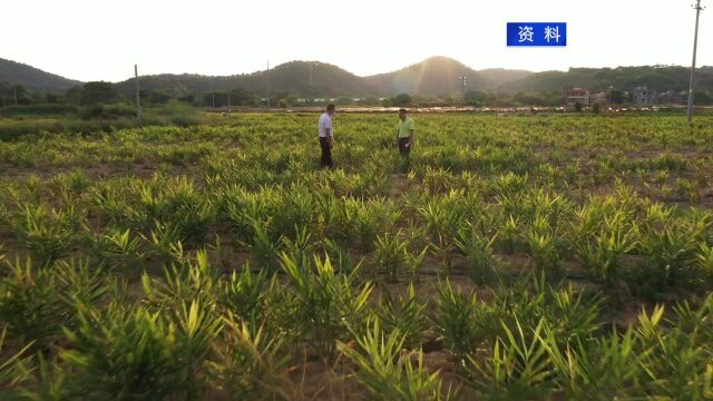 驻村扶贫14载 不拔“穷根”誓不还 全国脱贫攻坚先进个人 2018年肇庆市五一劳动奖章获得者刘晓林