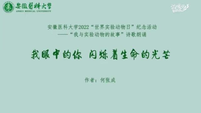 安徽医科大学师生创作诗歌,致敬为实验献身的“动物英雄”