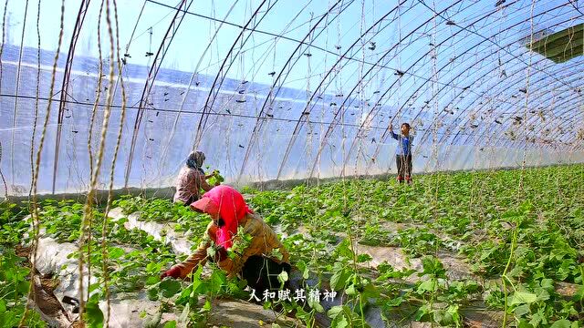 今天,让我们开始讲述一个关于时间的河套故事…