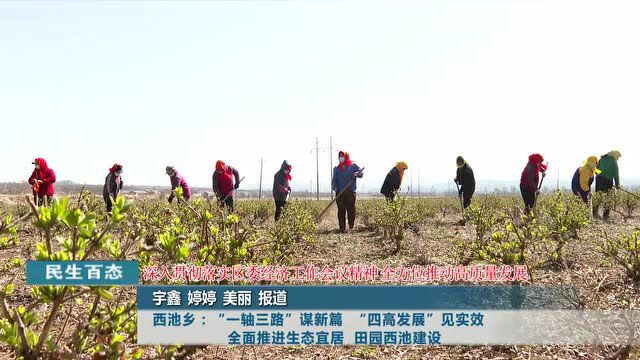 贯彻落实区委经济工作会精神乡镇书记访谈之西池乡