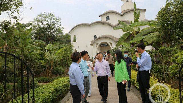 助力乡村振兴 重庆民企瞄准乡村游