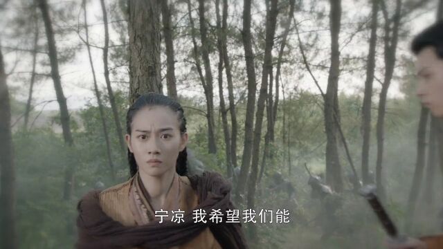 镜双城 寒洲临终前为宁凉变成男儿身,宁凉终于明白寒洲对她的深情,但她已经无法回应,内心痛苦不已