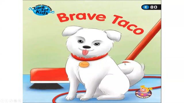 TFK G1 E80 Brave Taco