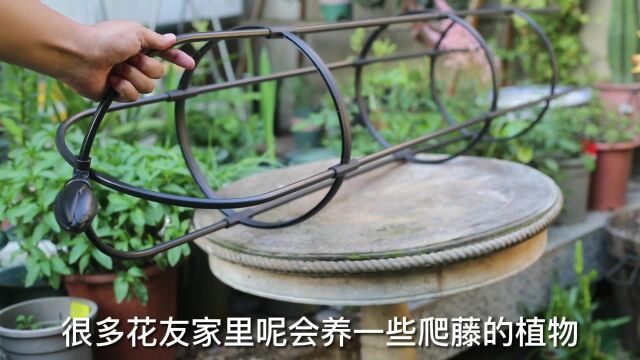 养花植物爬藤怎么办?园艺师教你,使用园艺支架来搭架子