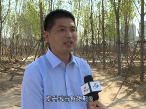 淮阳区: “五一”假期不停工 重点项目建设加速推进