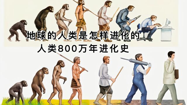 地球的人类是怎样进化的,人类800万年进化史