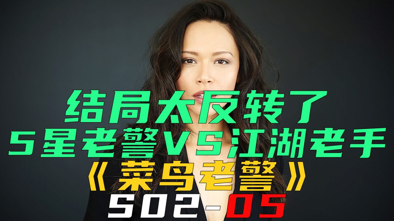 5星老警遇到江湖老手,结局意外惊喜《菜鸟老警s02-05》