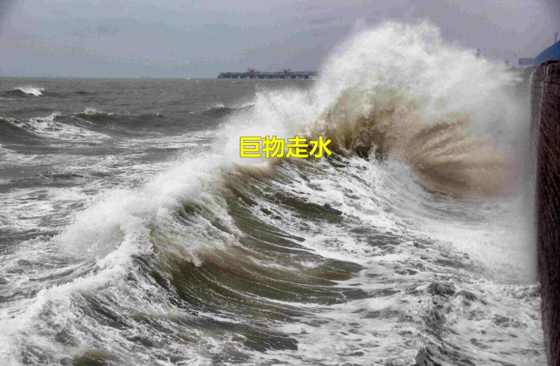 黄河真的有巨物!黄河大爷亲历:鲫翅像门扇大小,带水呼呼而过