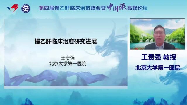 慢乙肝临床治愈研究进展王贵强教授(第四届慢乙肝临床治愈峰会暨中国派高峰论坛)