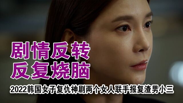 2022韩国女子复仇神剧:两个女人联手报复渣男,剧情太反转烧脑