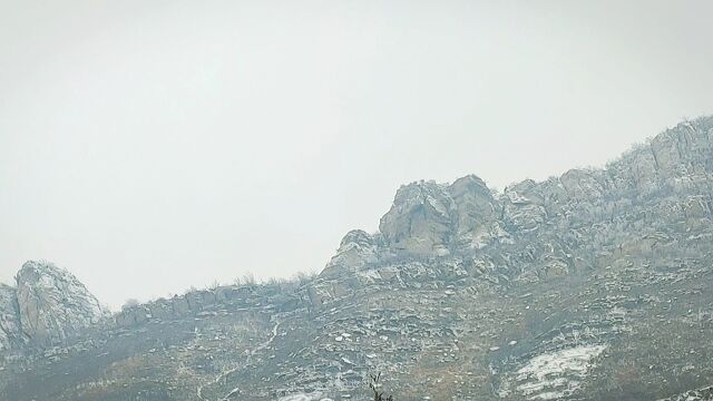 雪后美景视频:绿色松树挂满白雪,寂静大山