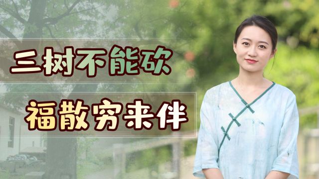 “三树不能砍,福散穷来伴”,你家院子种了吗?别不留神砍错了