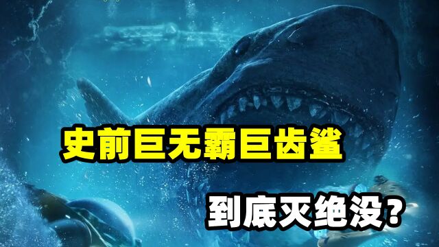 人类深潜极限?生物学家发现鲨鱼祖先“史前巨齿鲨”仍然存在