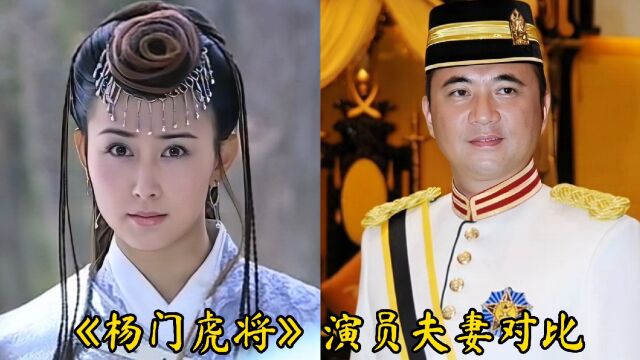 《杨门虎将》演员夫妻,潘语嫣离婚,胡静王艳张定涵老公…