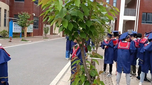 郑店小学2班毕业季拍摄花絮