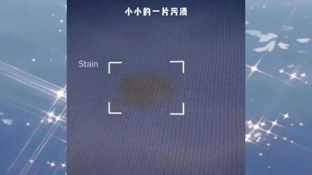 Stainology服装去渍学