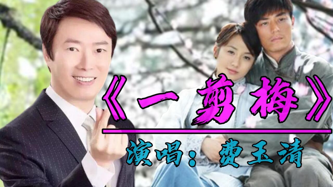 《一剪梅》是10年前《新一剪梅》片头曲,费玉清深情演唱,让人回忆满满,当时这一首谁都会哼两句_高清1080P在线观看平台_腾讯视频