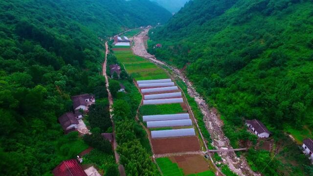 佛坪这些珍贵的非遗项目,又美又有“味”!