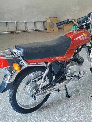 鹰仔100#本田鹰仔