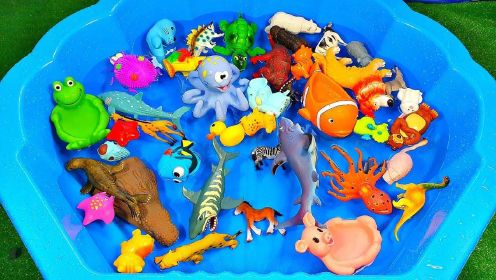 炫彩青蛙狮子鸭子小动物玩具来游泳