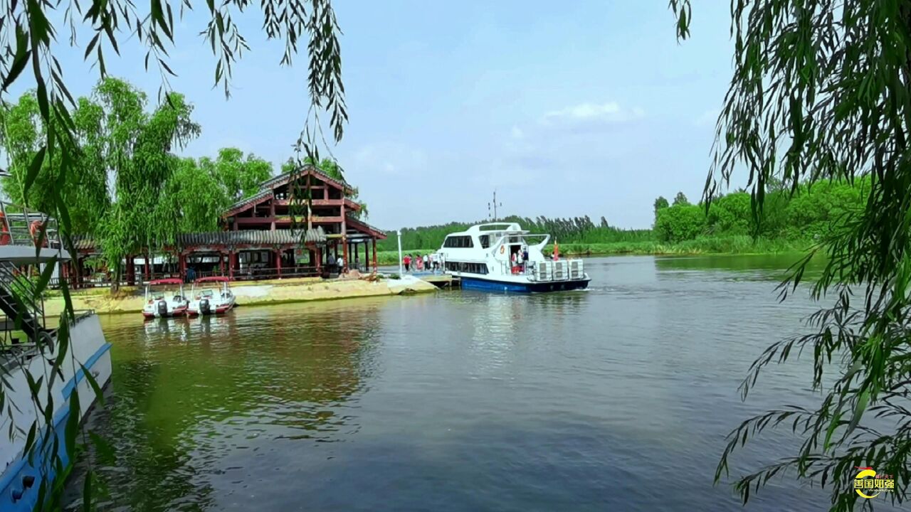 山东滕州:夏日红荷湿地美景如画(下集)