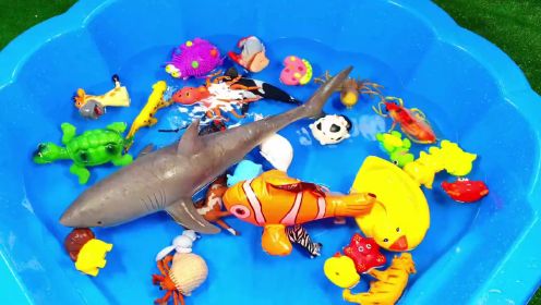 玩玩具认识小动物海象狮子斑马