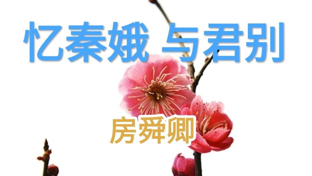 《忆秦娥》宋 房舜卿 与君别,相思一夜梅花发.