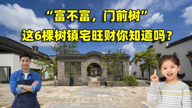 “富不富,门前树”,家里有这6种树,生活不会差是真的吗?