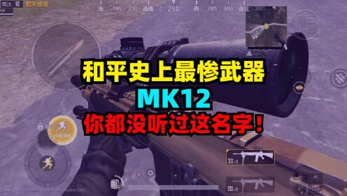史上最惨武器：MK12，很多人都不知道有这枪！