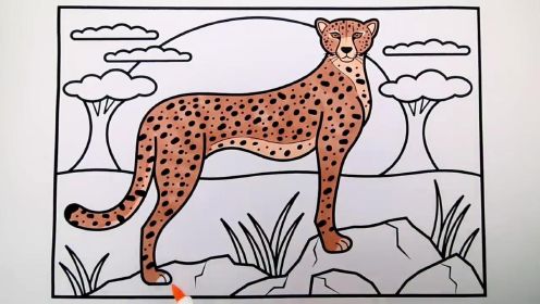 少儿绘画趣味系列画猎豹