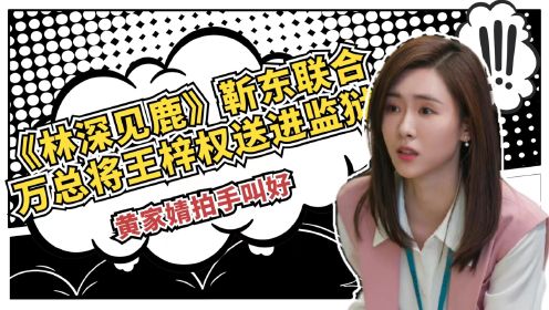 林深见鹿：靳东联合万总将王梓权送进监狱，黄家婧拍手叫好