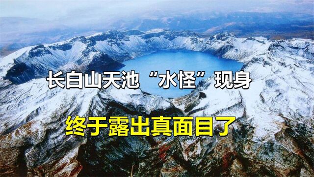 长白山天池“水怪”现身?有人目击拍下图像,终于要露出真面目了