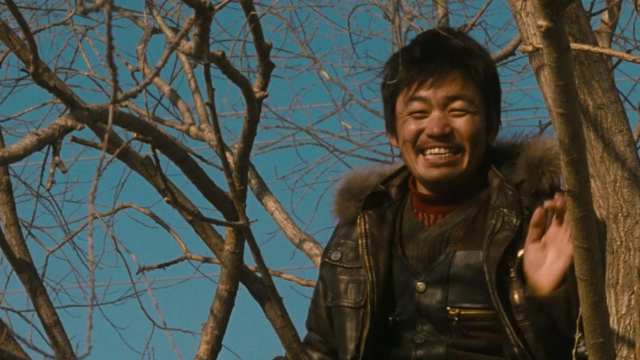 王宝强封神之作《树先生》