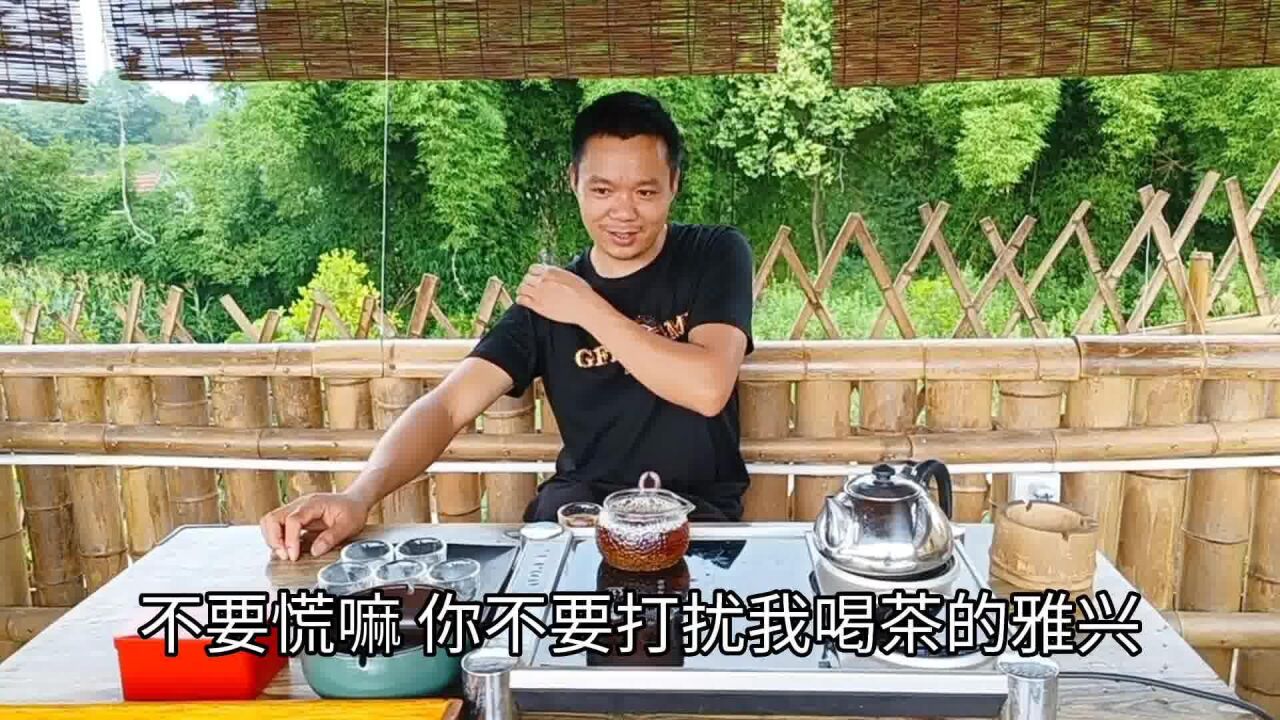 幺妹儿做了一盘什么样的青椒肉丝?杨二娃居然狂吃3碗米饭