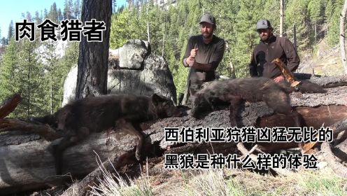 纪录片：肉食猎者：狩猎黑狼