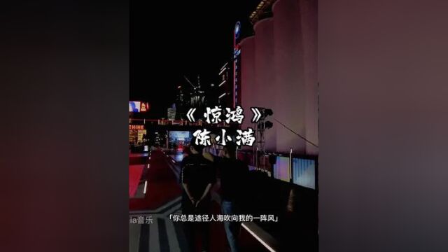 #歌曲惊鸿 #城市大的让两个人狭路相逢 #音乐分享 你是夜半惊鸿梦一瞥,偏偏惹我细思量凝噎