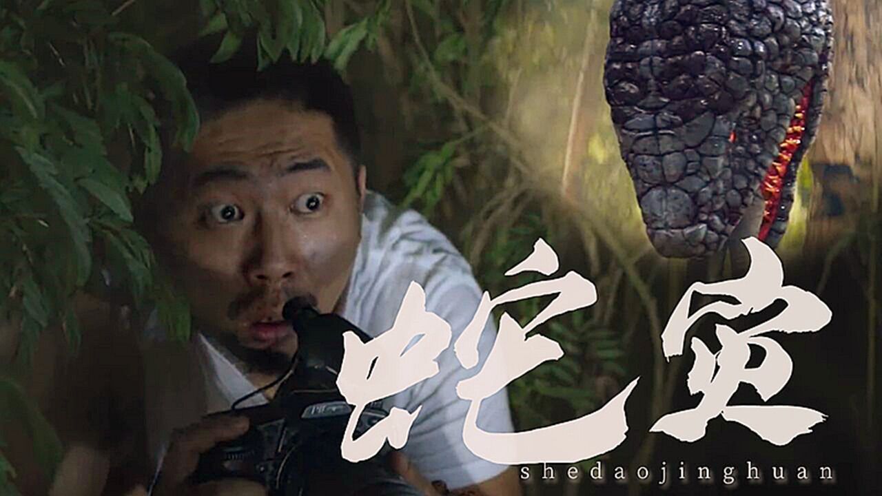 《蛇灾:蛇岛惊魂》嗜血巨蟒,暴虐来袭,吓破胆!_腾讯视频