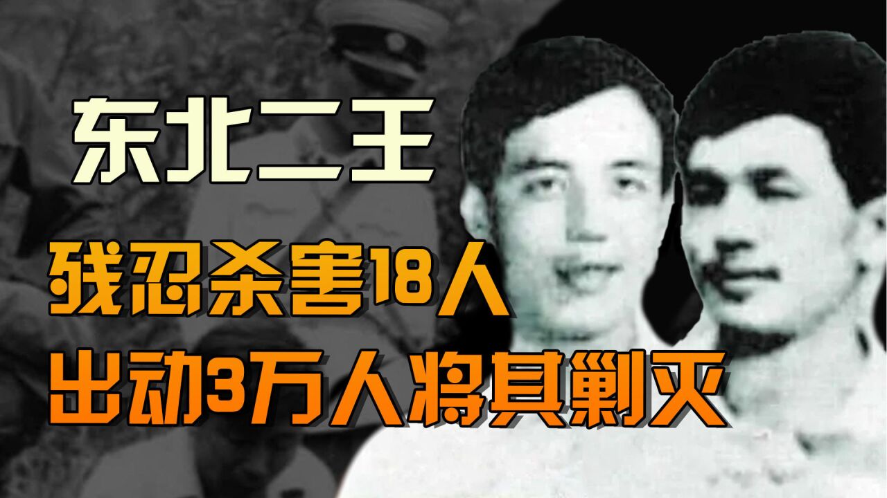 悍匪"东北二王",7个月致18人死伤,3万警力出动才将其剿灭!