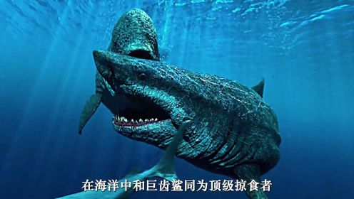 史前海洋顶级掠食者，与巨齿鲨并称为海洋双雄，梅氏利维坦鲸到底有多强大？