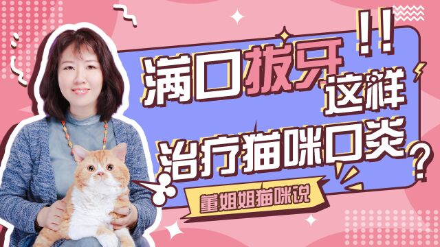 猫咪口炎,只能拔全齿?治疗猫咪口炎的方式