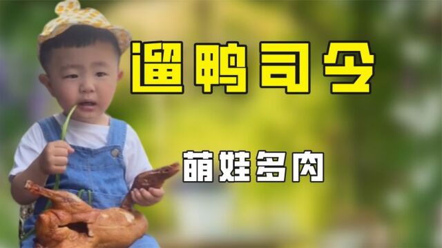 多肉小盆友:2岁萌娃靠“遛鸭”走红网络,吸粉300万,有何魅力?